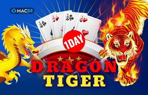 Dragon Tiger 1 Day, a Mac88 game